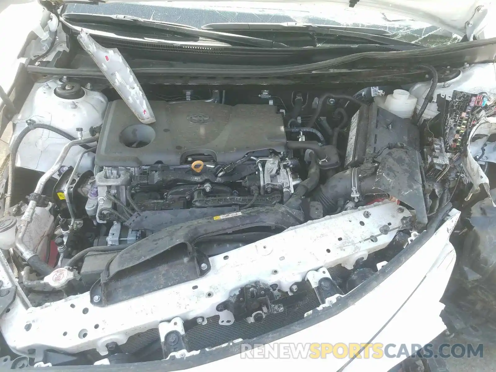 7 Photograph of a damaged car 4T1B11HK5KU232523 TOYOTA CAMRY 2019
