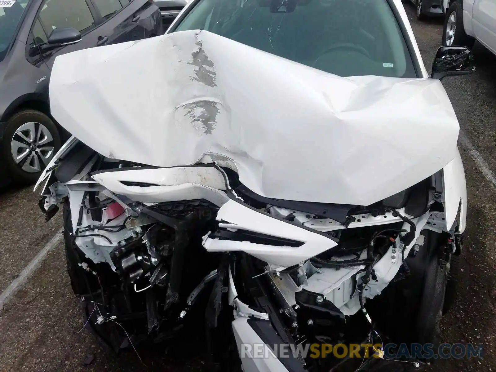 7 Photograph of a damaged car 4T1B11HK5KU237964 TOYOTA CAMRY 2019