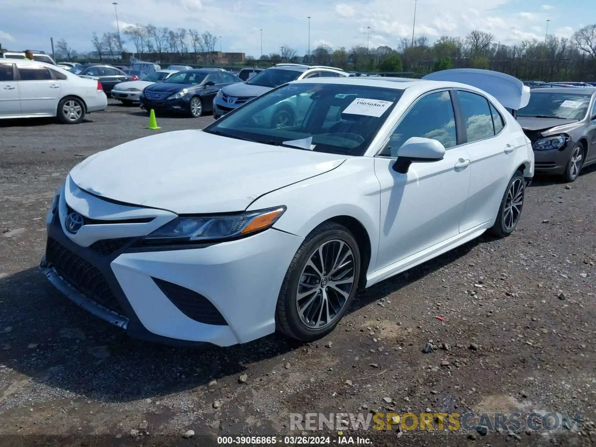 2 Photograph of a damaged car 4T1B11HK5KU244459 TOYOTA CAMRY 2019