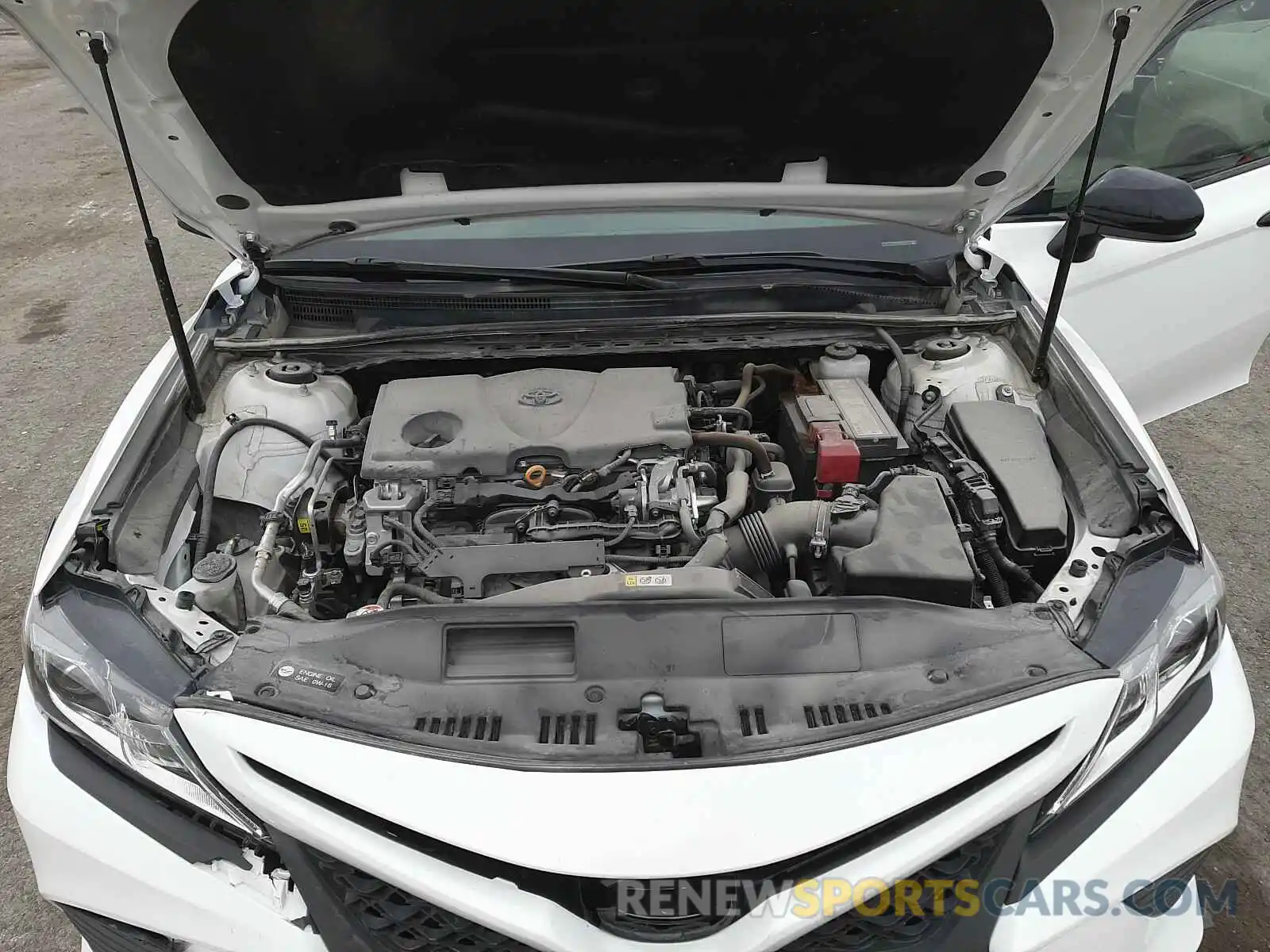 7 Photograph of a damaged car 4T1B11HK5KU245997 TOYOTA CAMRY 2019