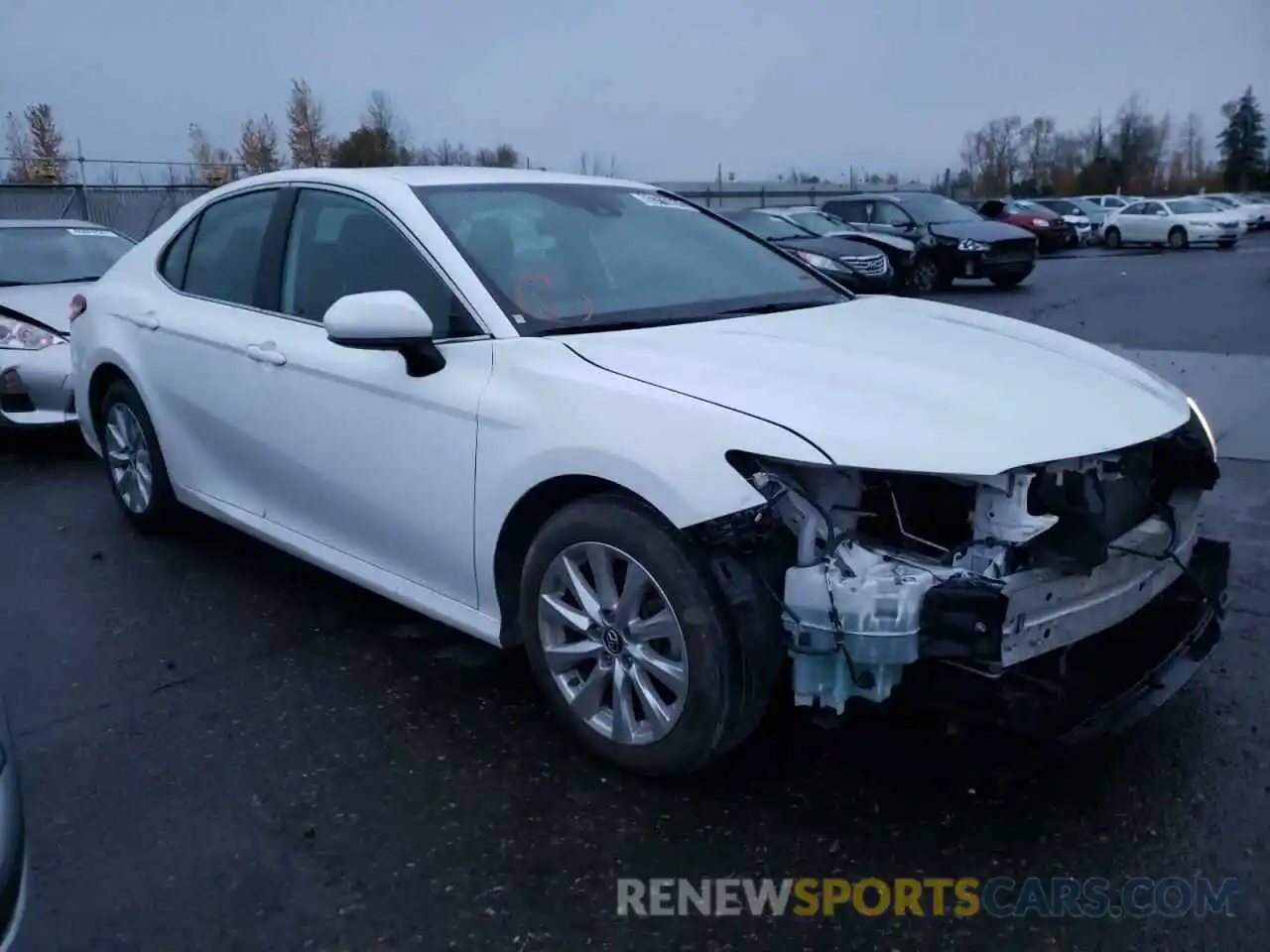 1 Photograph of a damaged car 4T1B11HK5KU250066 TOYOTA CAMRY 2019