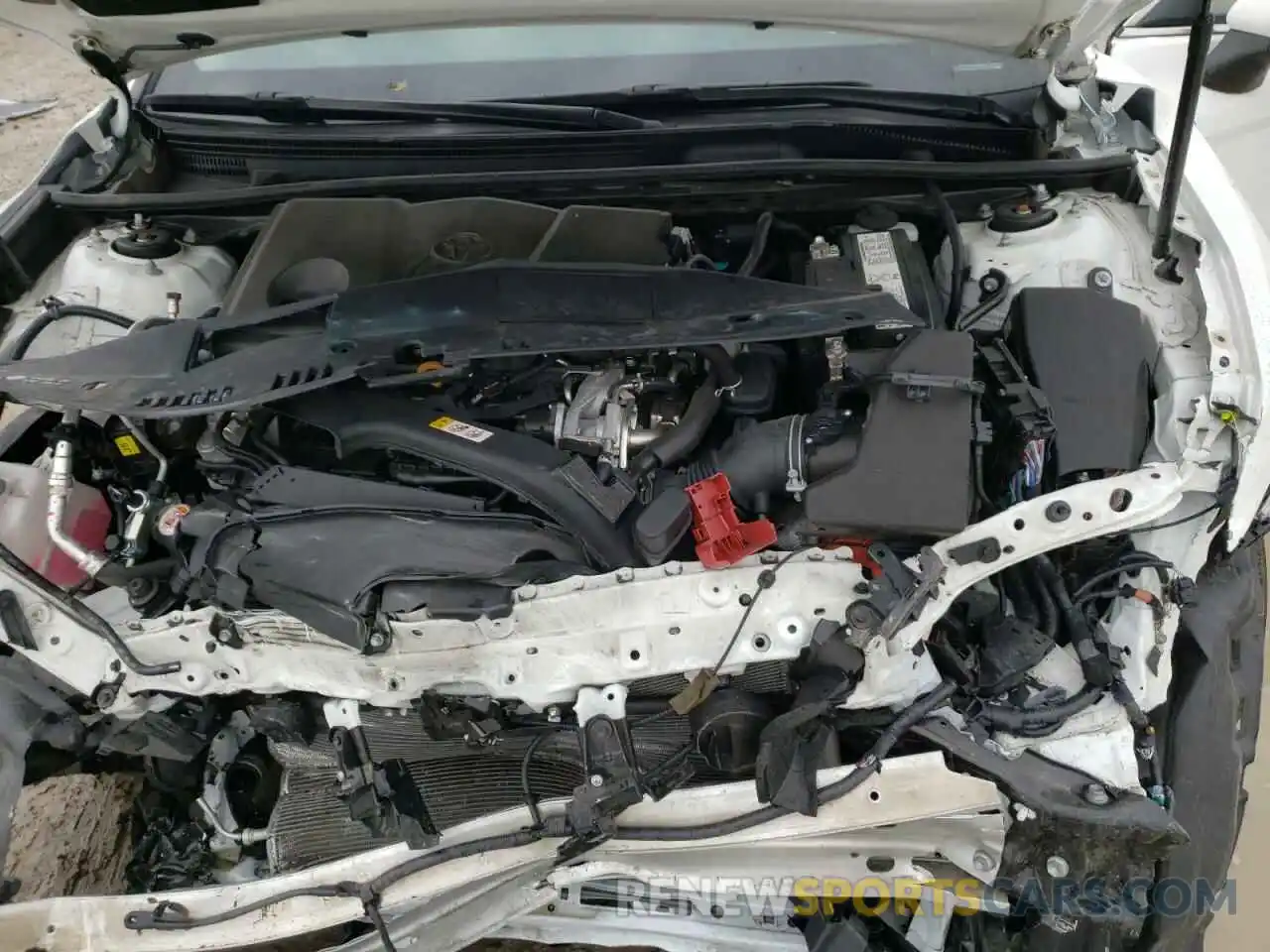 7 Photograph of a damaged car 4T1B11HK5KU253498 TOYOTA CAMRY 2019