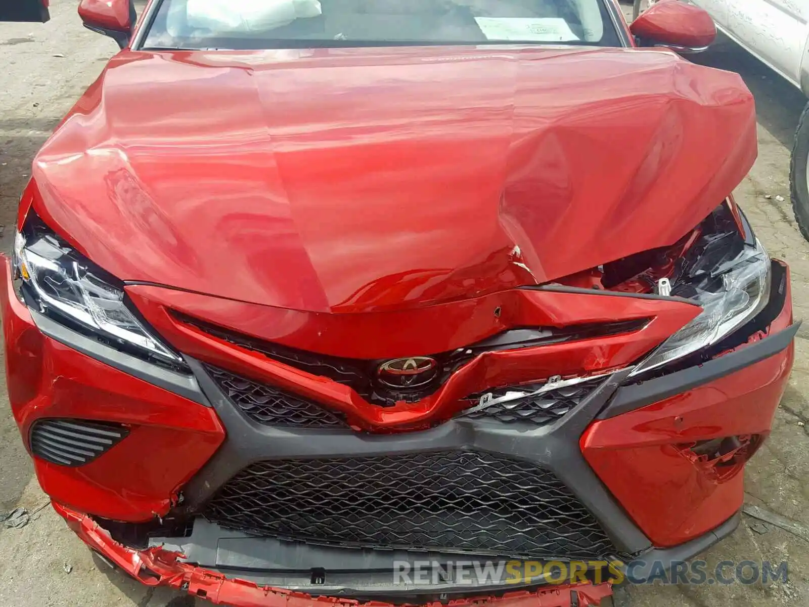 7 Photograph of a damaged car 4T1B11HK5KU256143 TOYOTA CAMRY 2019