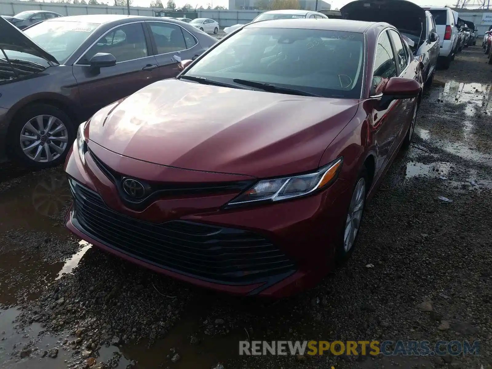 2 Photograph of a damaged car 4T1B11HK5KU258300 TOYOTA CAMRY 2019