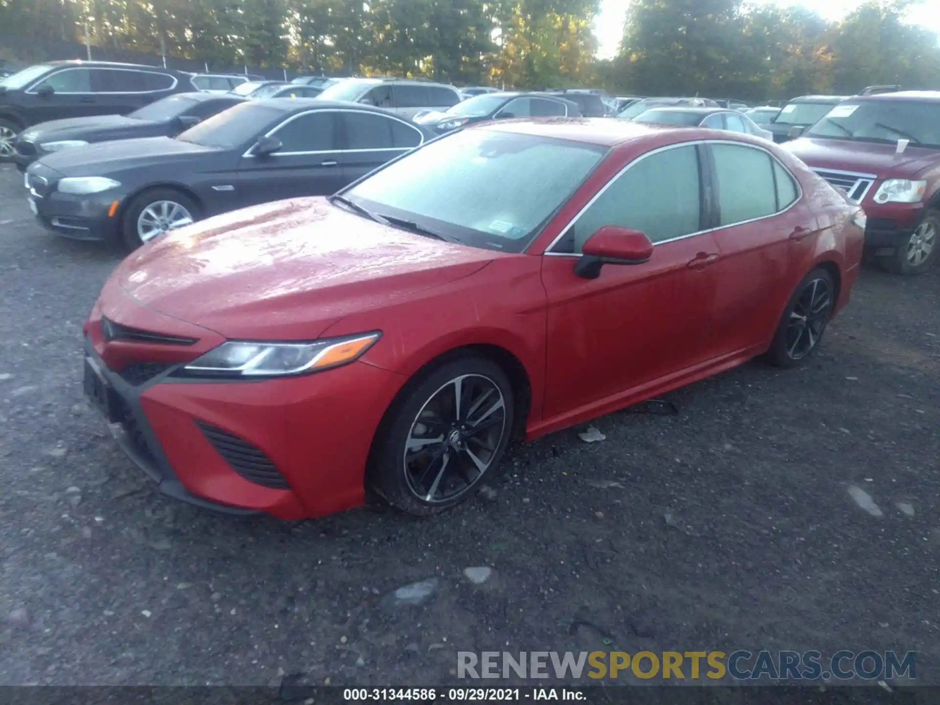 2 Photograph of a damaged car 4T1B11HK5KU259298 TOYOTA CAMRY 2019