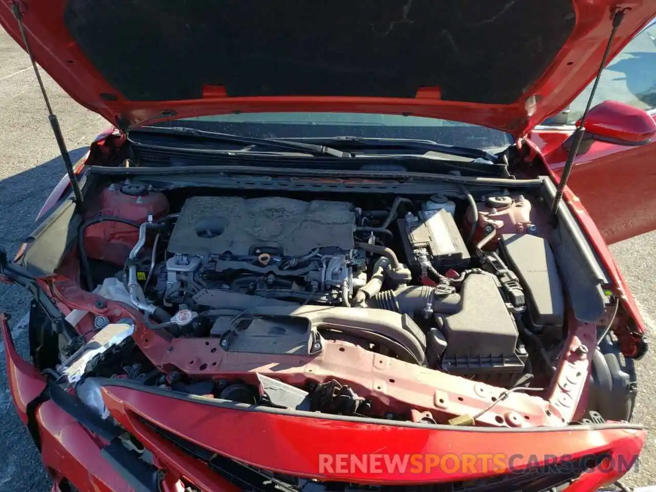 7 Photograph of a damaged car 4T1B11HK5KU277560 TOYOTA CAMRY 2019