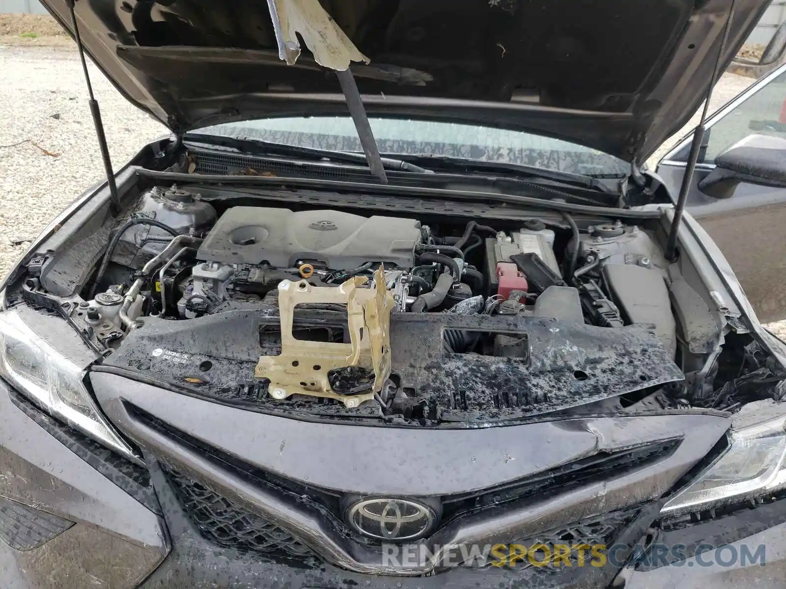 7 Photograph of a damaged car 4T1B11HK5KU294908 TOYOTA CAMRY 2019