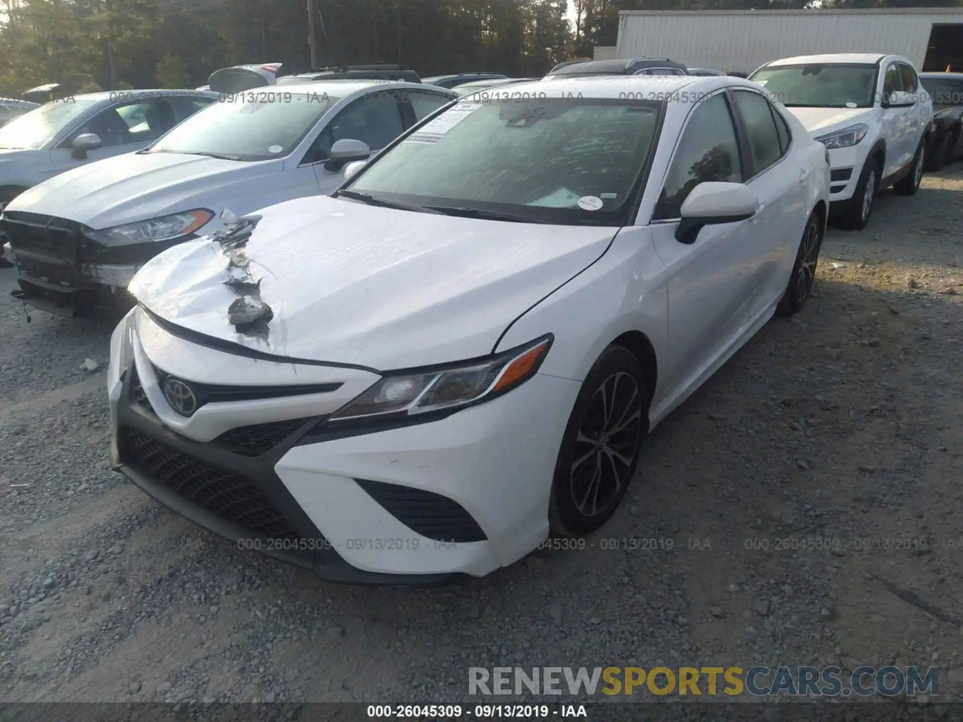 2 Photograph of a damaged car 4T1B11HK5KU686481 TOYOTA CAMRY 2019