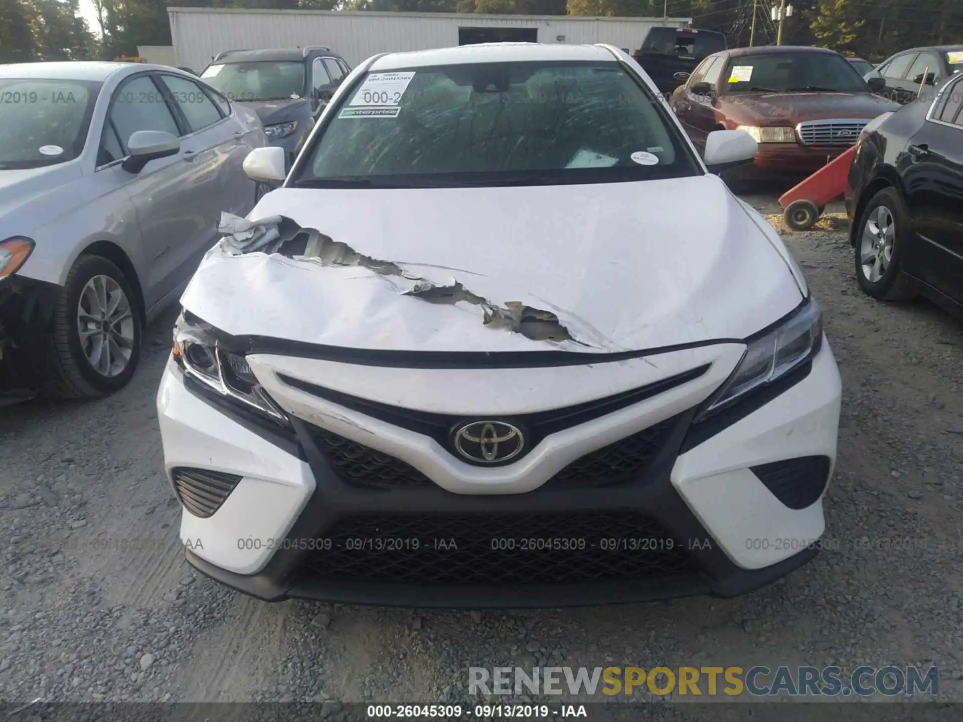 6 Photograph of a damaged car 4T1B11HK5KU686481 TOYOTA CAMRY 2019