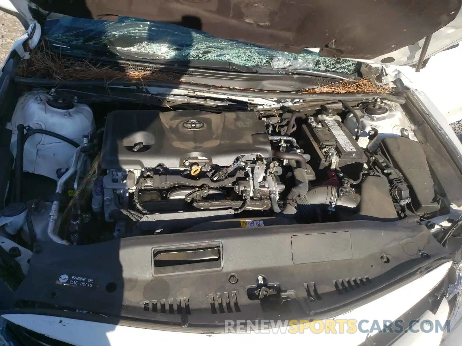 7 Photograph of a damaged car 4T1B11HK5KU690238 TOYOTA CAMRY 2019