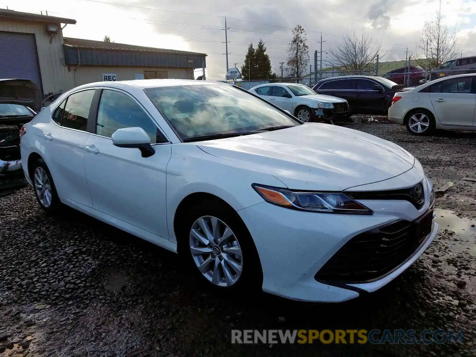 1 Photograph of a damaged car 4T1B11HK5KU708060 TOYOTA CAMRY 2019