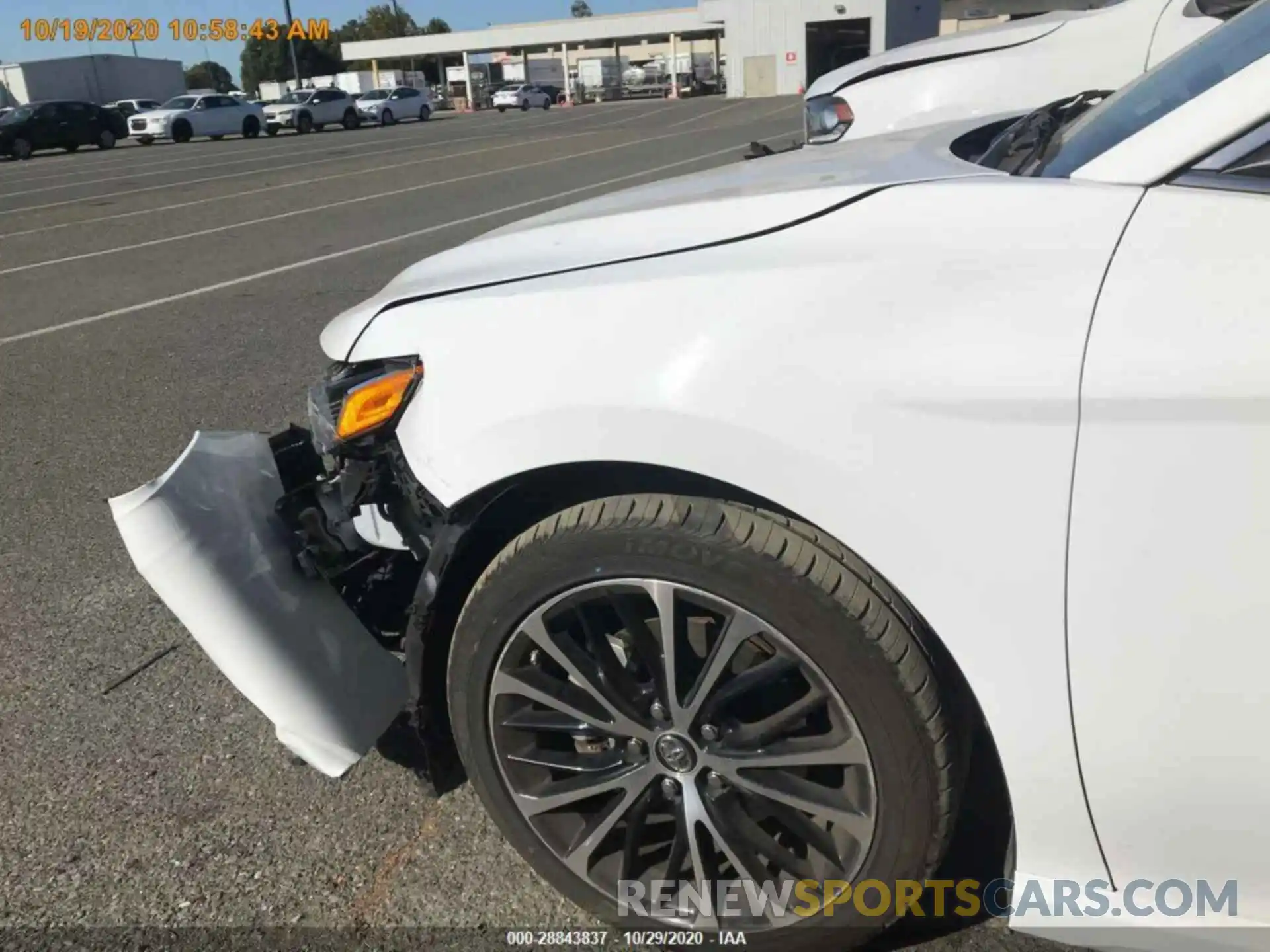 12 Photograph of a damaged car 4T1B11HK5KU728938 TOYOTA CAMRY 2019