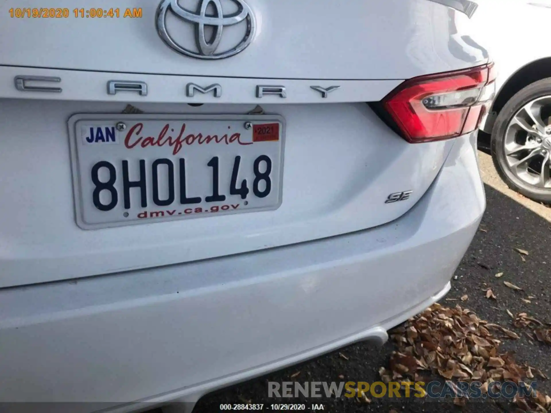 13 Photograph of a damaged car 4T1B11HK5KU728938 TOYOTA CAMRY 2019