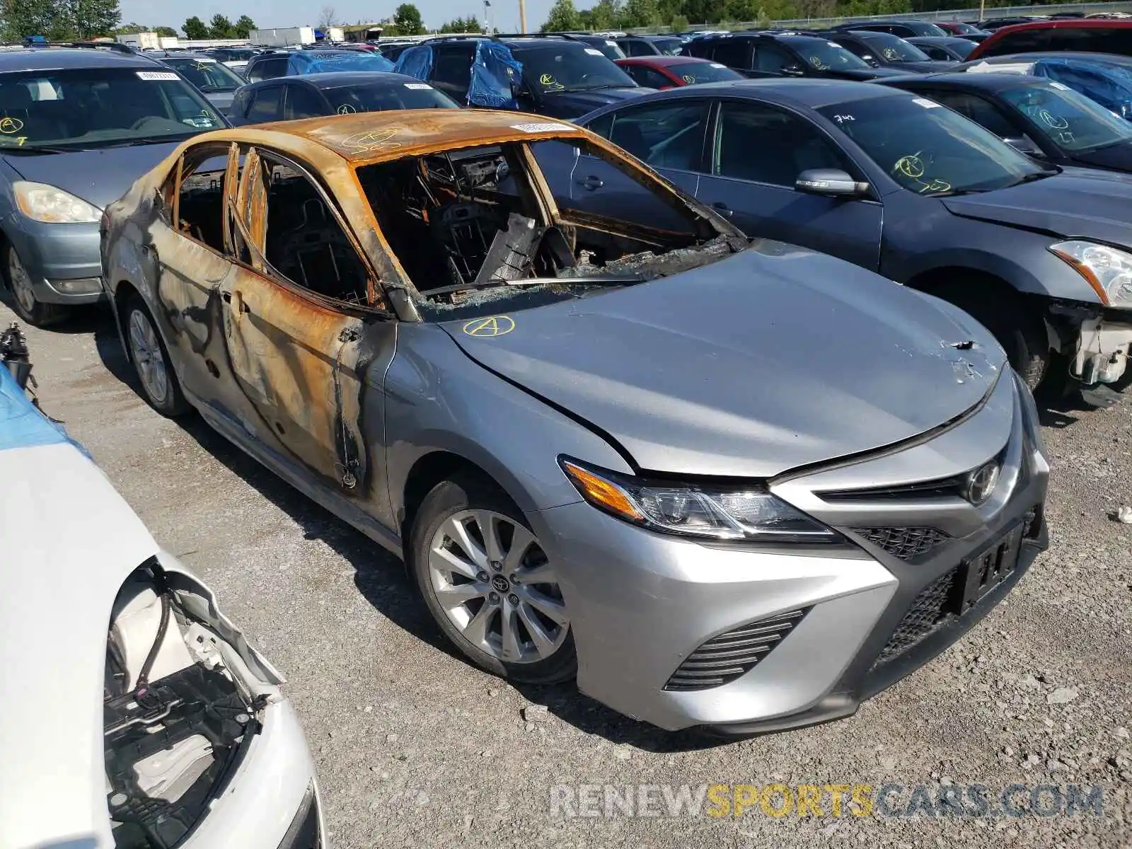 1 Photograph of a damaged car 4T1B11HK5KU778562 TOYOTA CAMRY 2019