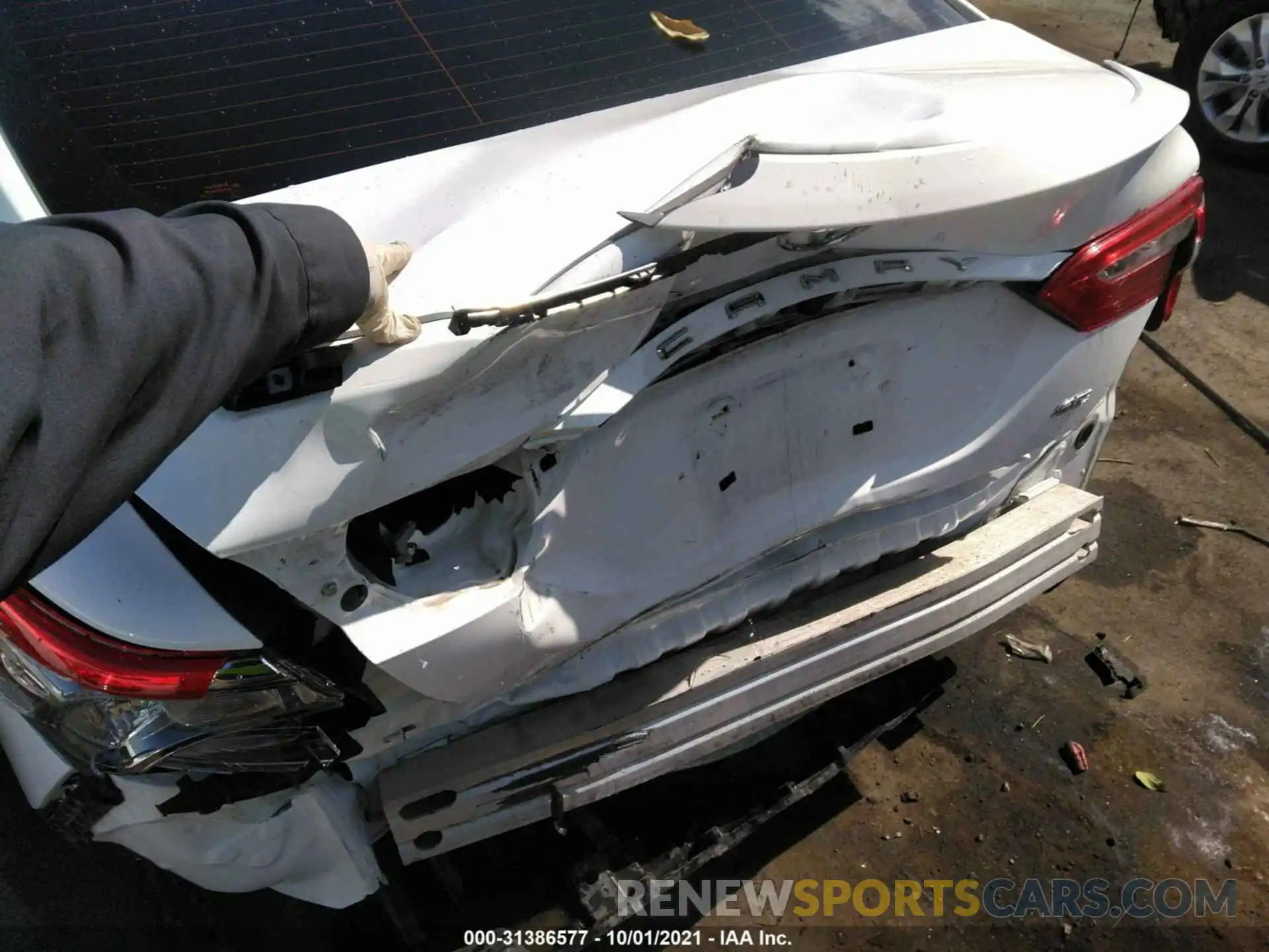 6 Photograph of a damaged car 4T1B11HK5KU788623 TOYOTA CAMRY 2019