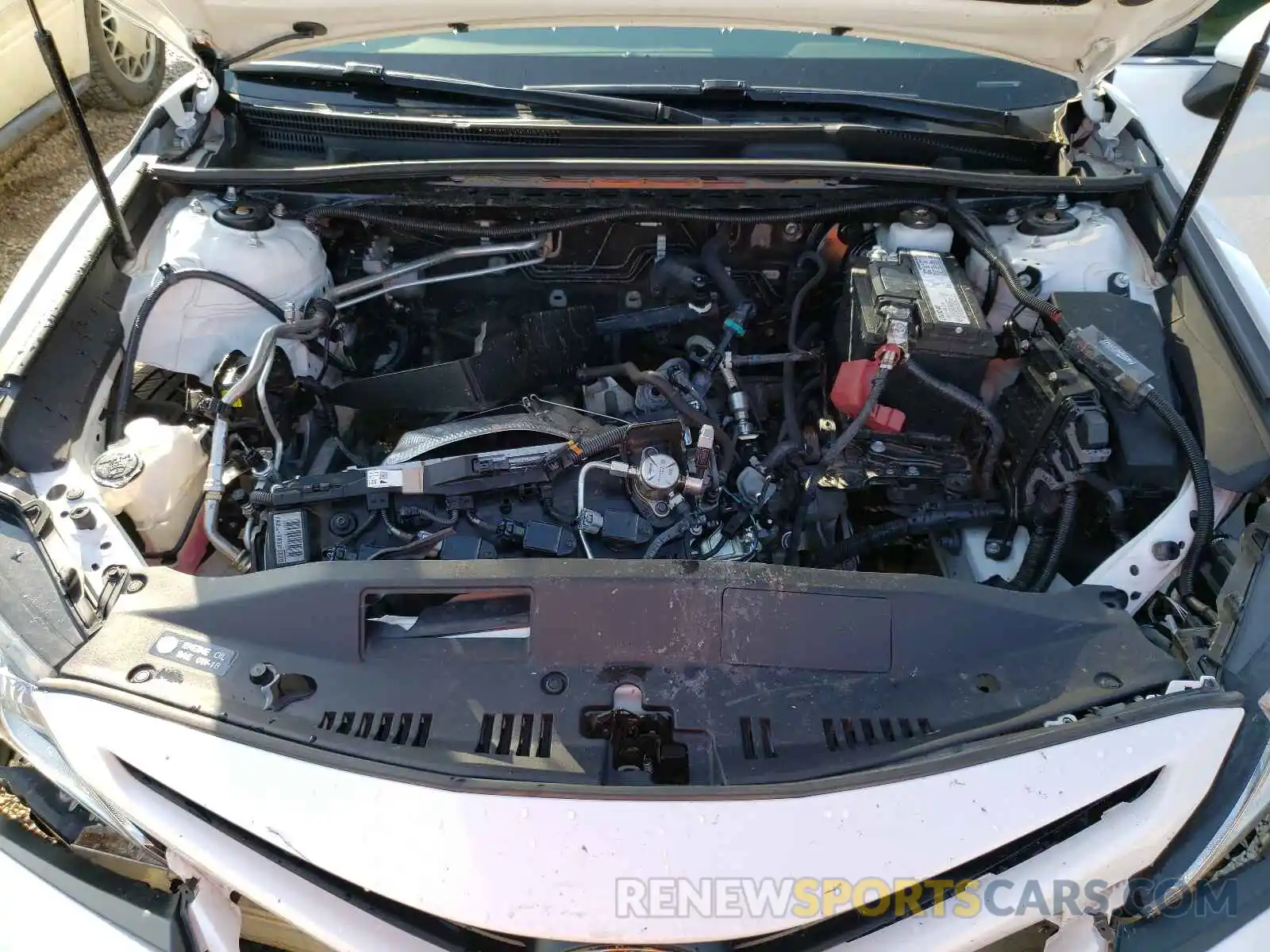 7 Photograph of a damaged car 4T1B11HK5KU788816 TOYOTA CAMRY 2019