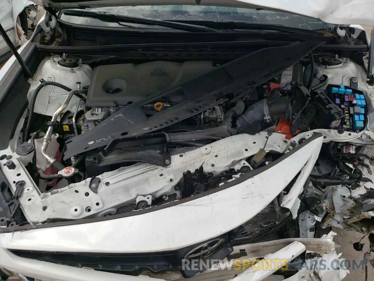 7 Photograph of a damaged car 4T1B11HK5KU809308 TOYOTA CAMRY 2019