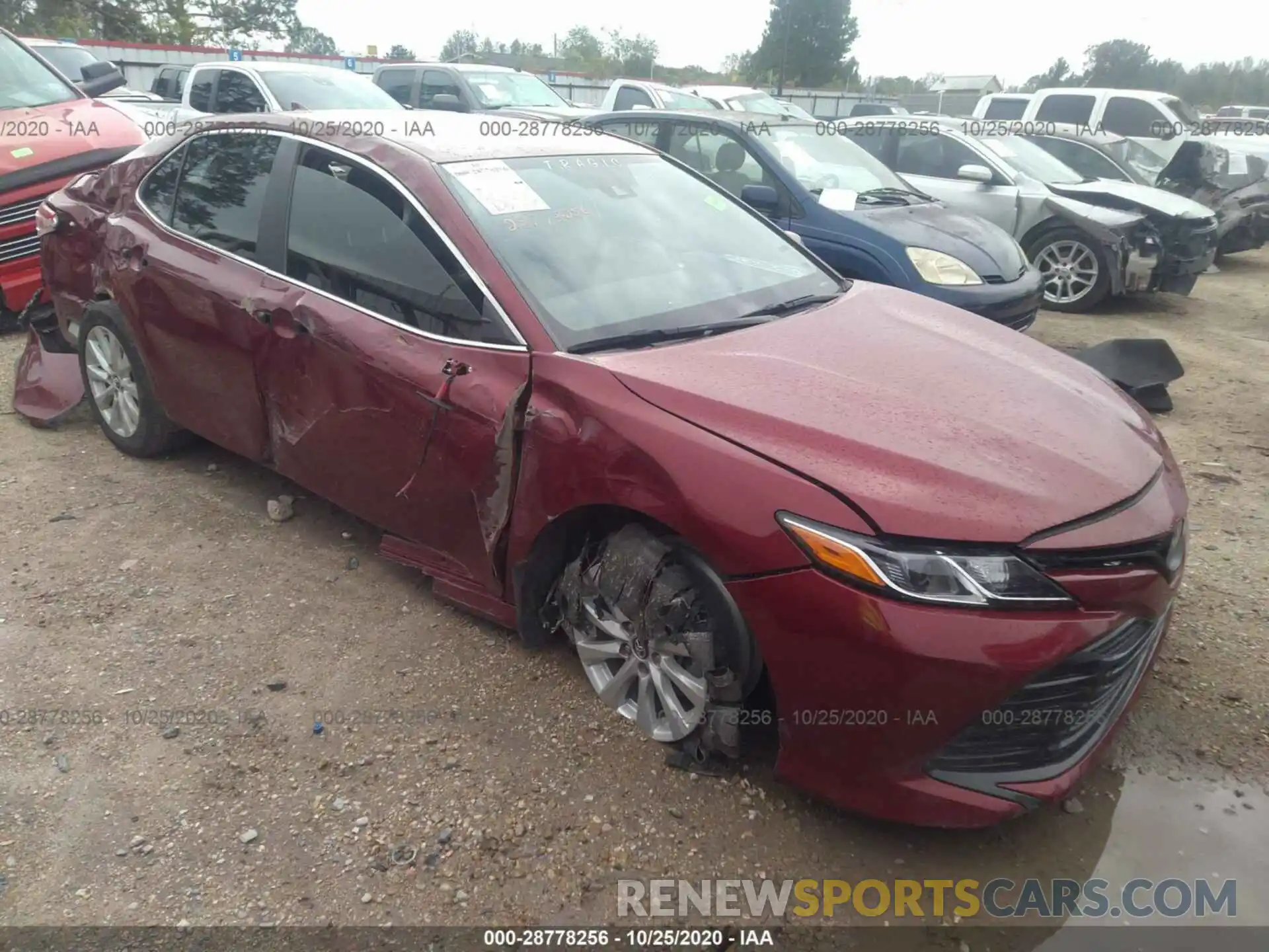 1 Photograph of a damaged car 4T1B11HK5KU827579 TOYOTA CAMRY 2019