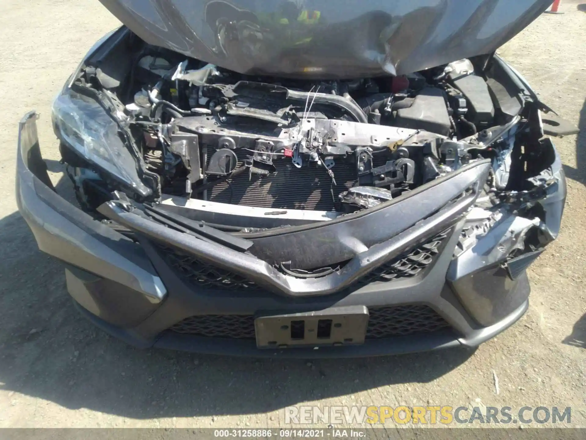 6 Photograph of a damaged car 4T1B11HK5KU843412 TOYOTA CAMRY 2019