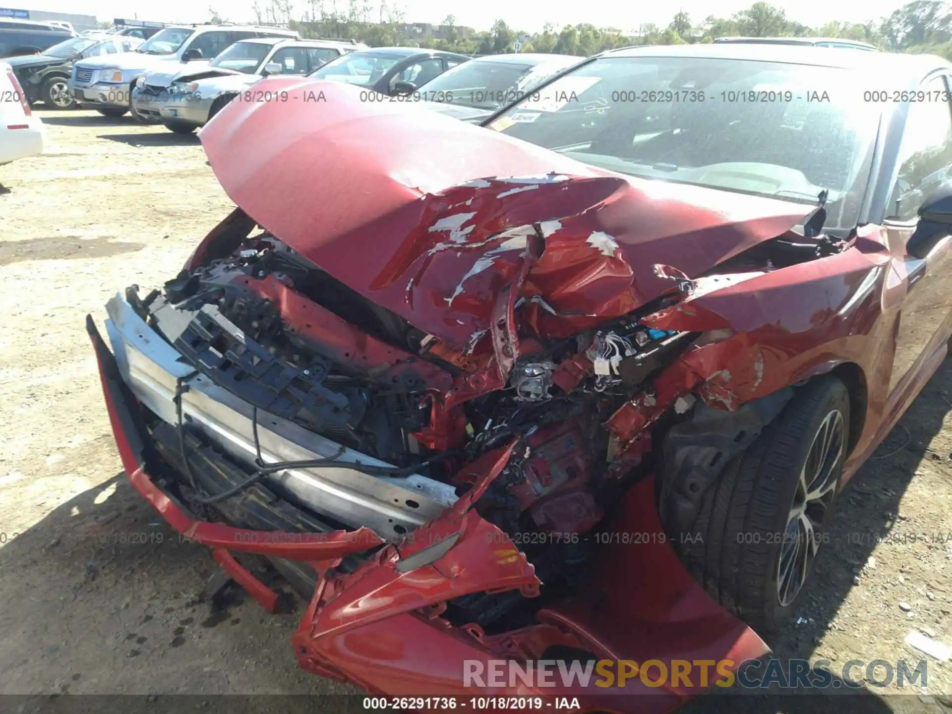 6 Photograph of a damaged car 4T1B11HK6KU164670 TOYOTA CAMRY 2019