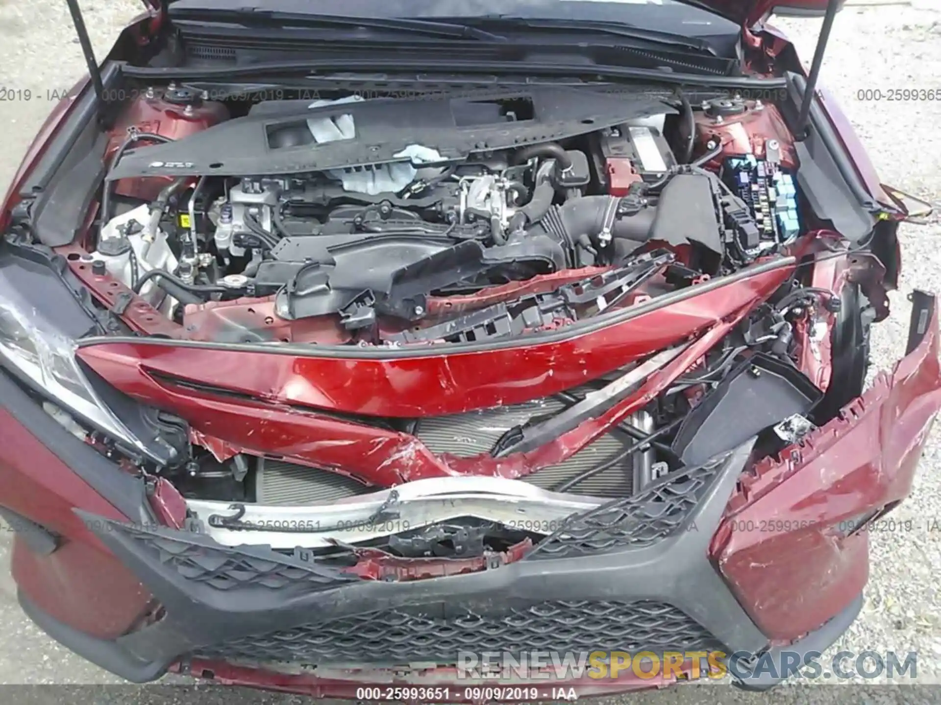 10 Photograph of a damaged car 4T1B11HK6KU170274 TOYOTA CAMRY 2019