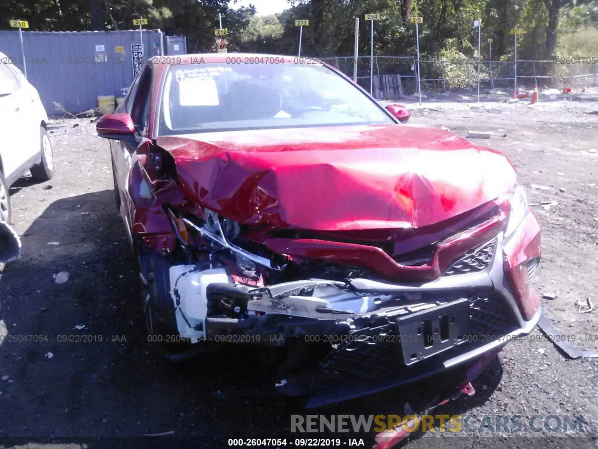 6 Photograph of a damaged car 4T1B11HK6KU186149 TOYOTA CAMRY 2019