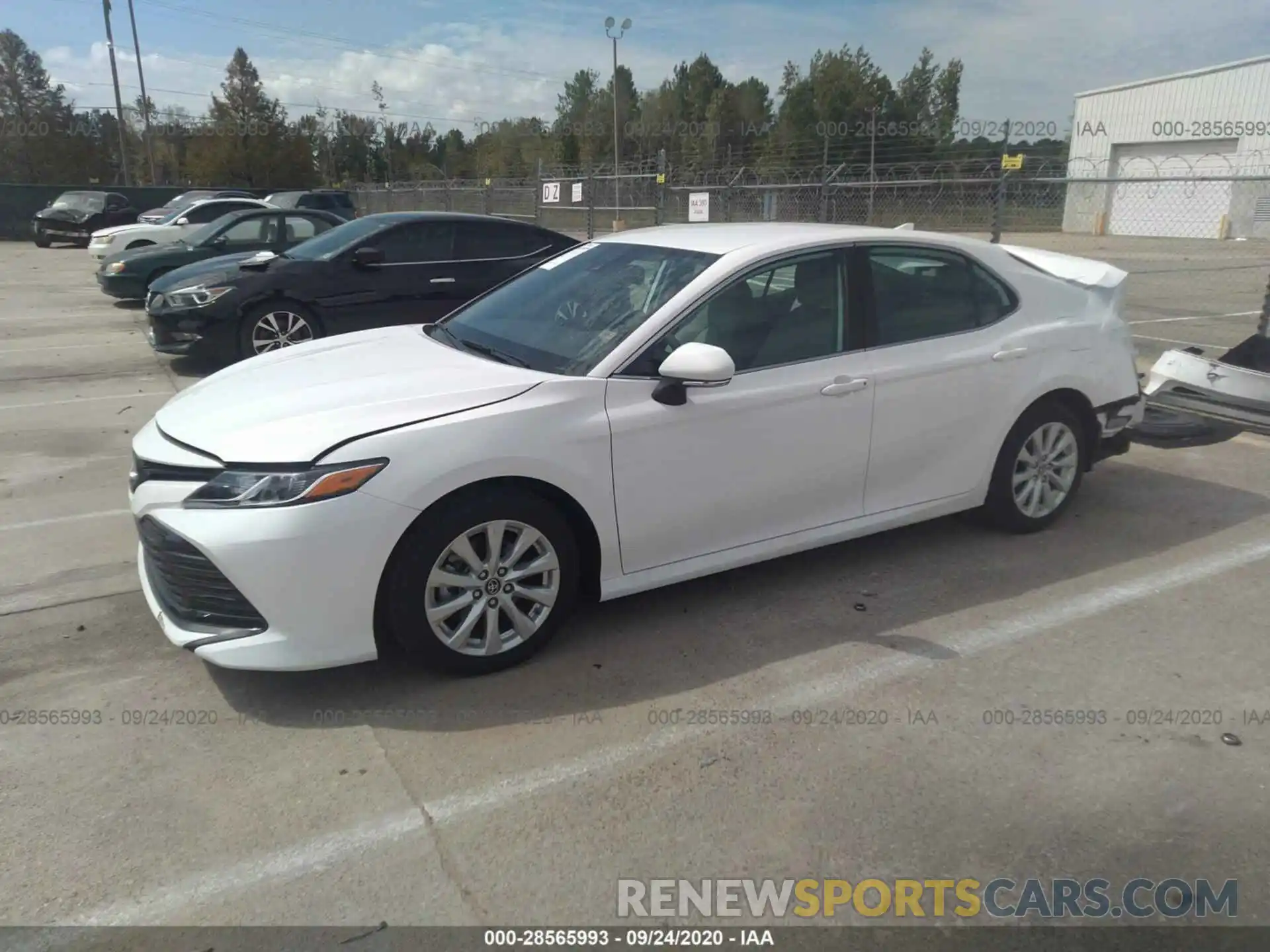 2 Photograph of a damaged car 4T1B11HK6KU192579 TOYOTA CAMRY 2019