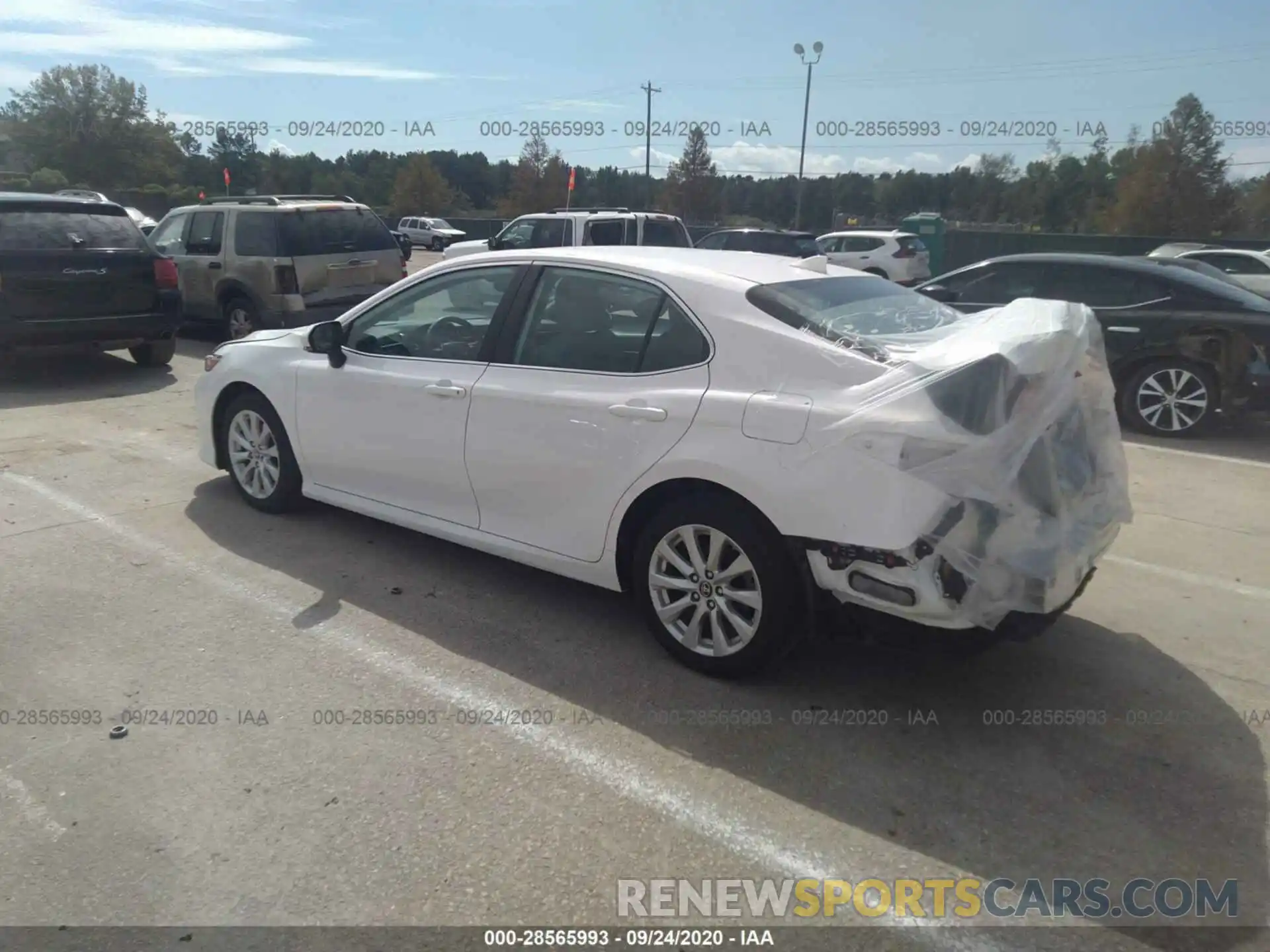 3 Photograph of a damaged car 4T1B11HK6KU192579 TOYOTA CAMRY 2019