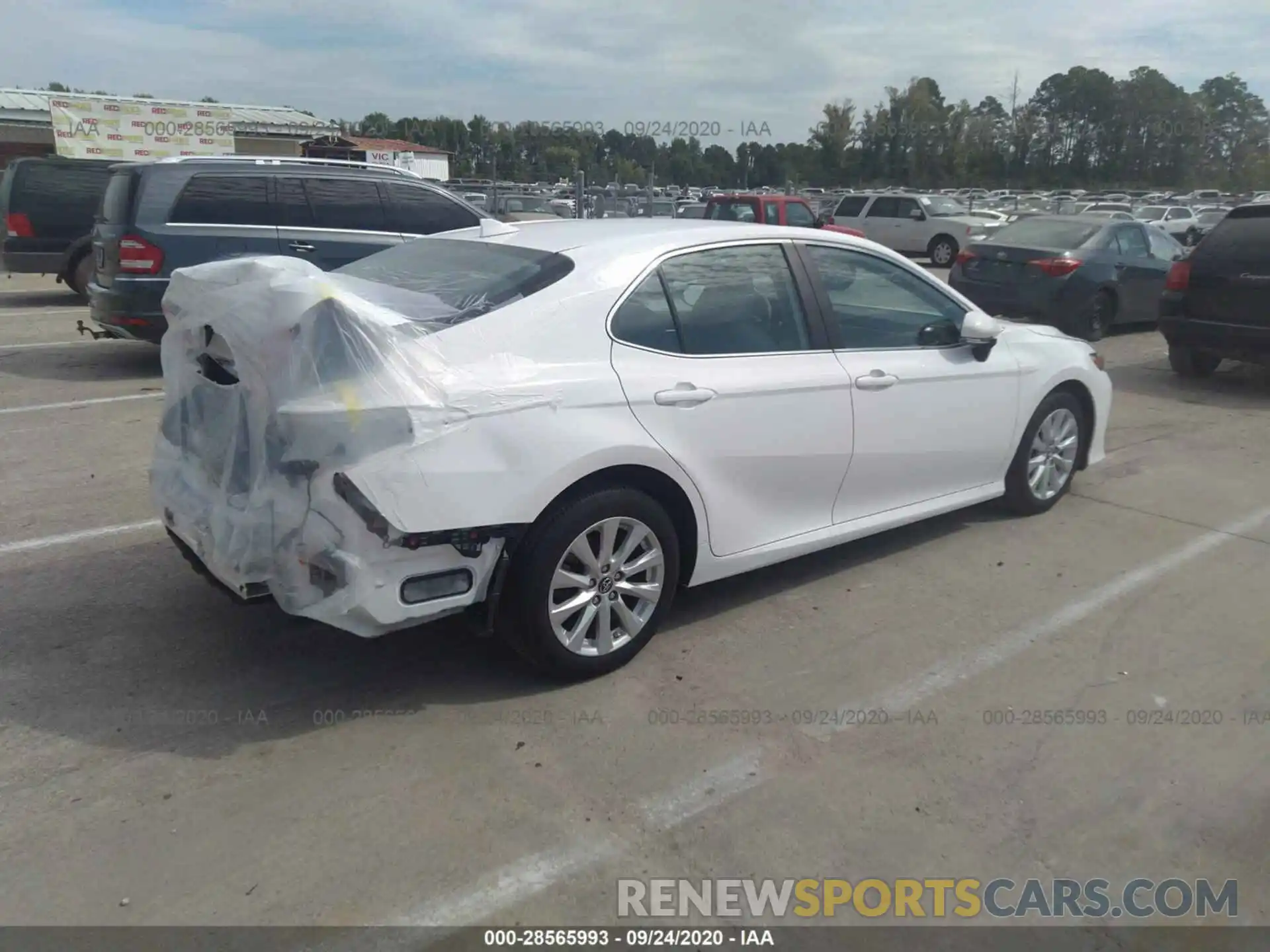 4 Photograph of a damaged car 4T1B11HK6KU192579 TOYOTA CAMRY 2019