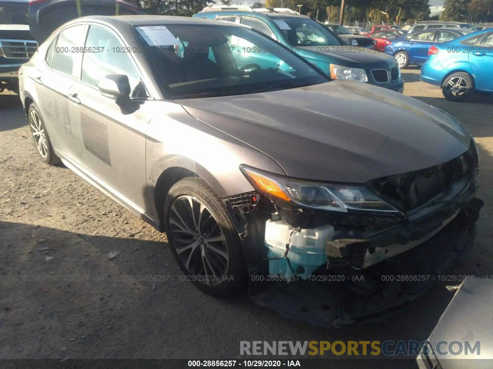 1 Photograph of a damaged car 4T1B11HK6KU202334 TOYOTA CAMRY 2019