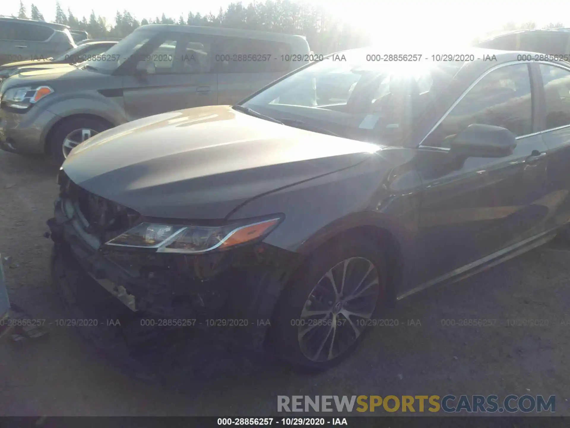 2 Photograph of a damaged car 4T1B11HK6KU202334 TOYOTA CAMRY 2019