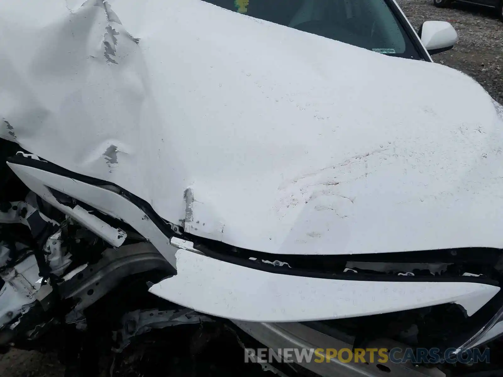 7 Photograph of a damaged car 4T1B11HK6KU205802 TOYOTA CAMRY 2019