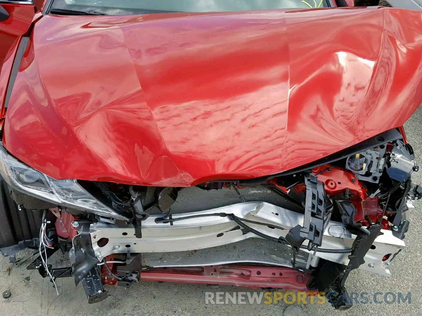 7 Photograph of a damaged car 4T1B11HK6KU251131 TOYOTA CAMRY 2019