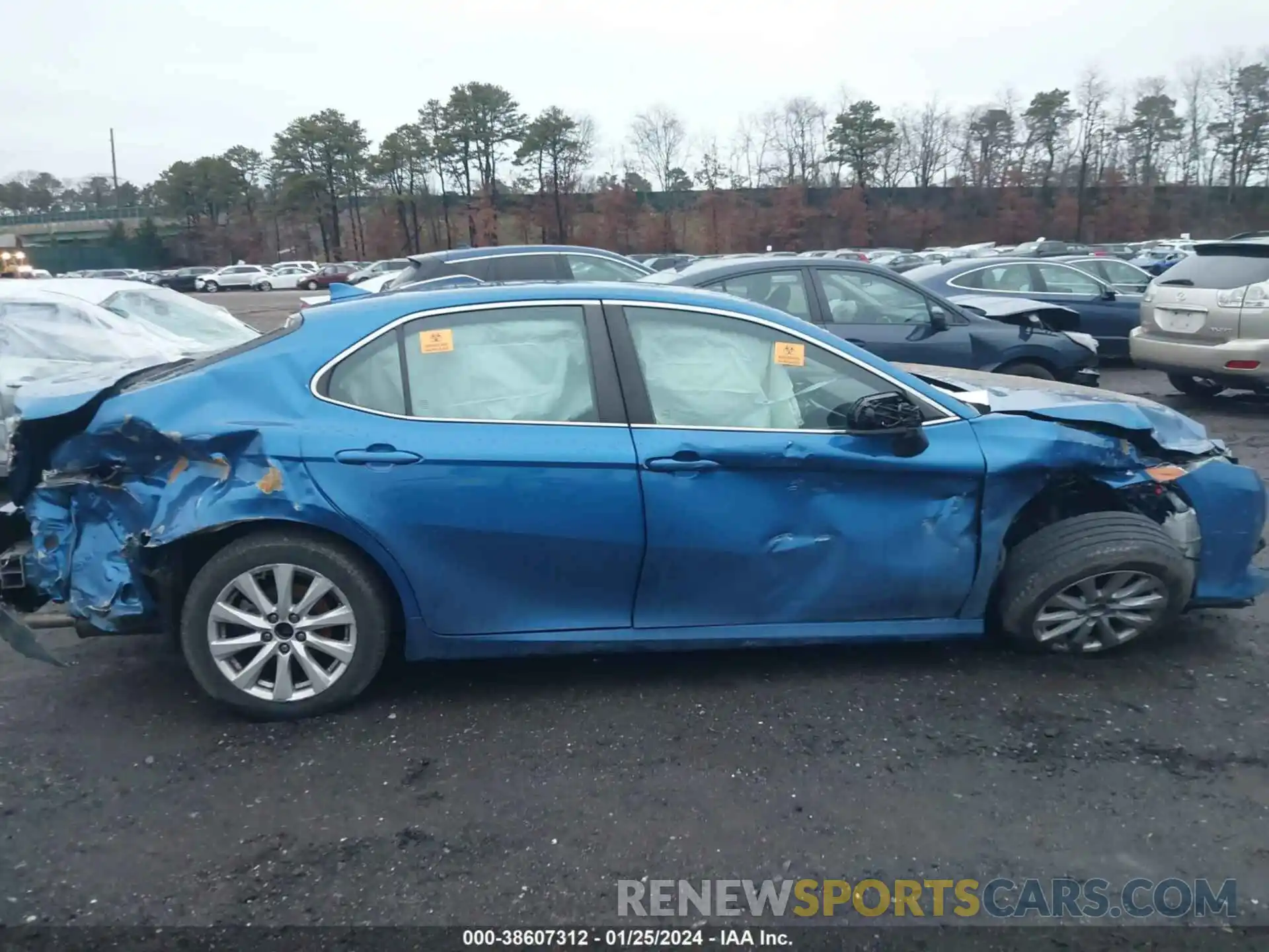 12 Photograph of a damaged car 4T1B11HK6KU284095 TOYOTA CAMRY 2019