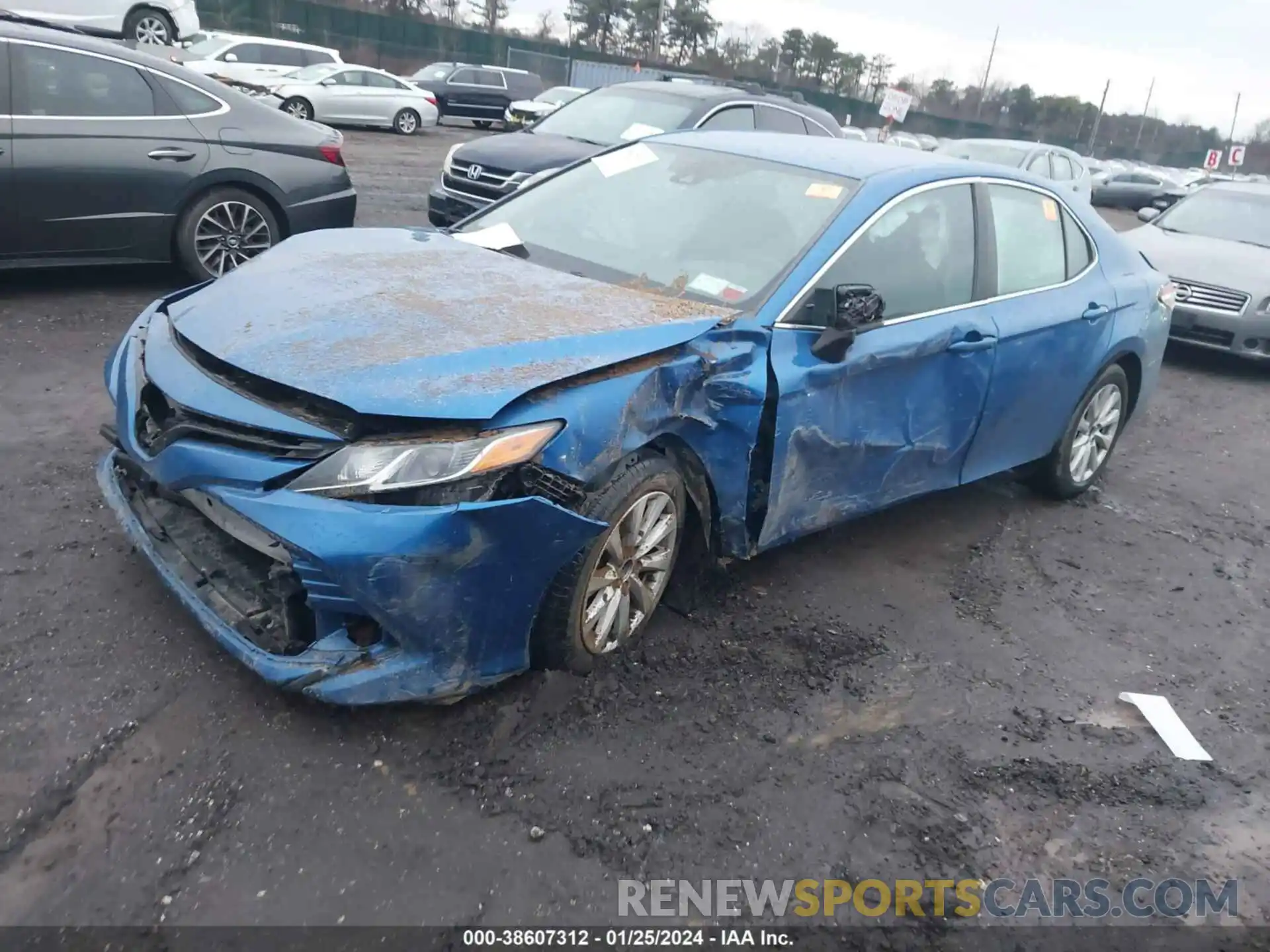 2 Photograph of a damaged car 4T1B11HK6KU284095 TOYOTA CAMRY 2019