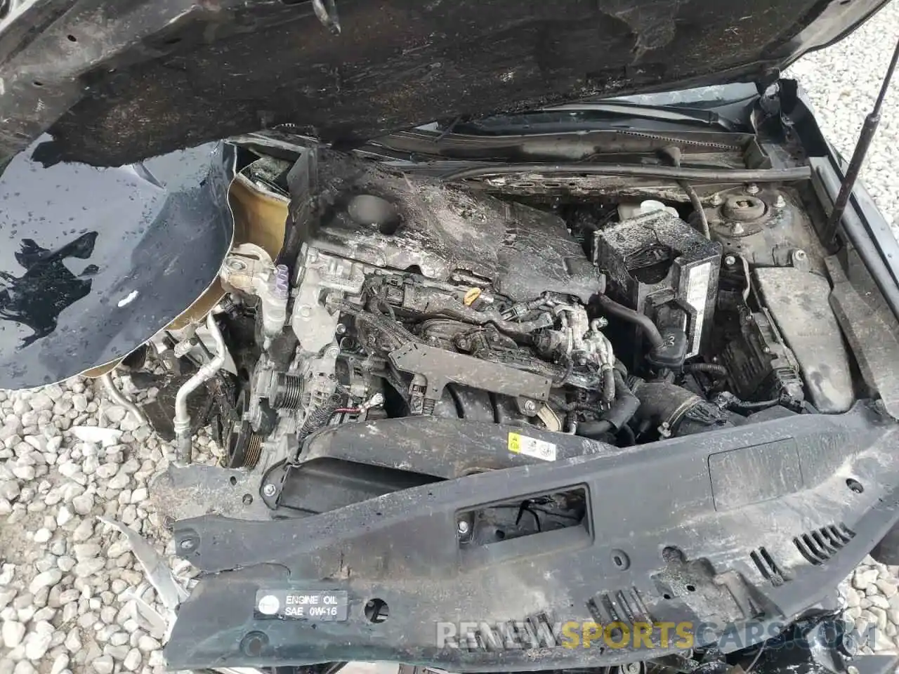 7 Photograph of a damaged car 4T1B11HK6KU288101 TOYOTA CAMRY 2019