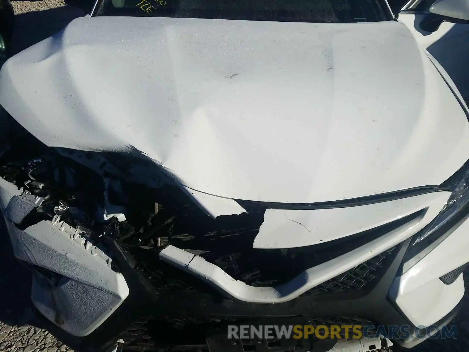 7 Photograph of a damaged car 4T1B11HK6KU294674 TOYOTA CAMRY 2019