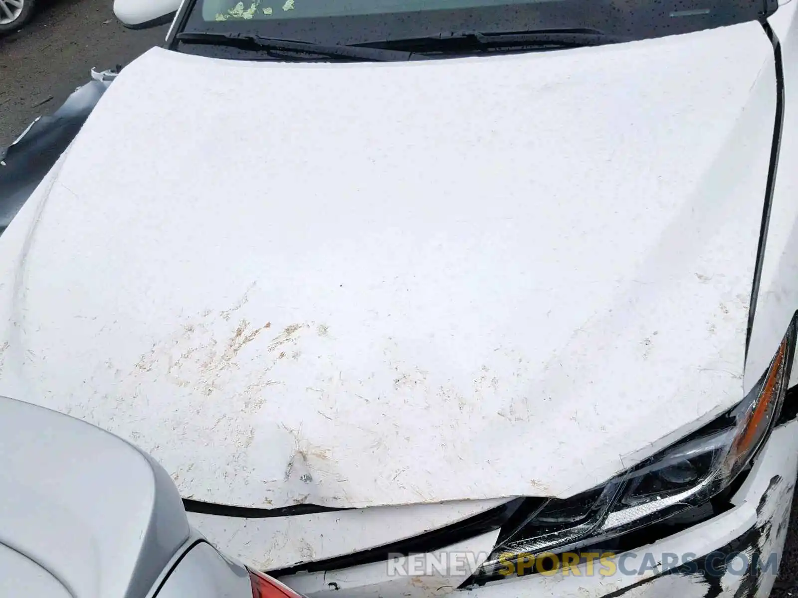 7 Photograph of a damaged car 4T1B11HK6KU679958 TOYOTA CAMRY 2019