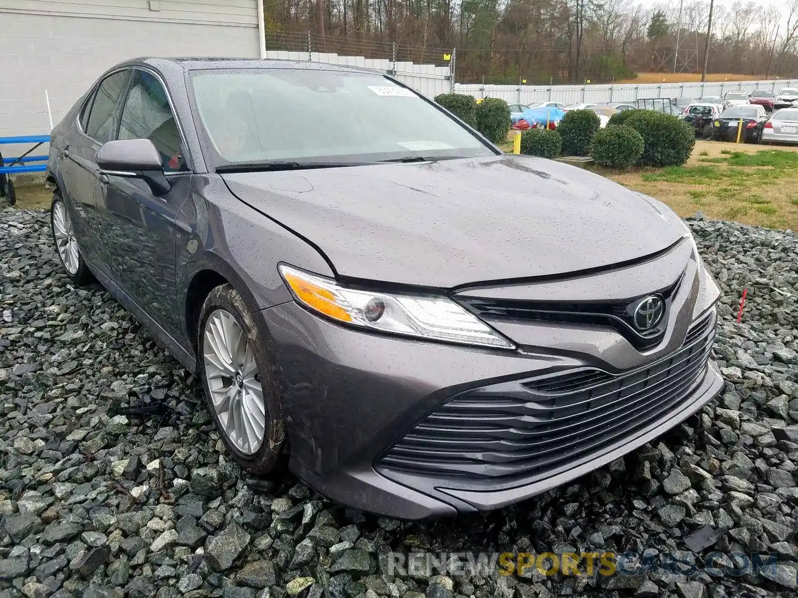 1 Photograph of a damaged car 4T1B11HK6KU703921 TOYOTA CAMRY 2019