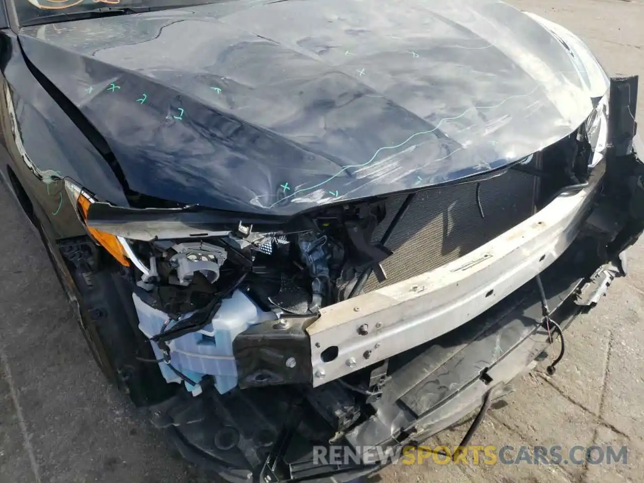 9 Photograph of a damaged car 4T1B11HK6KU706091 TOYOTA CAMRY 2019