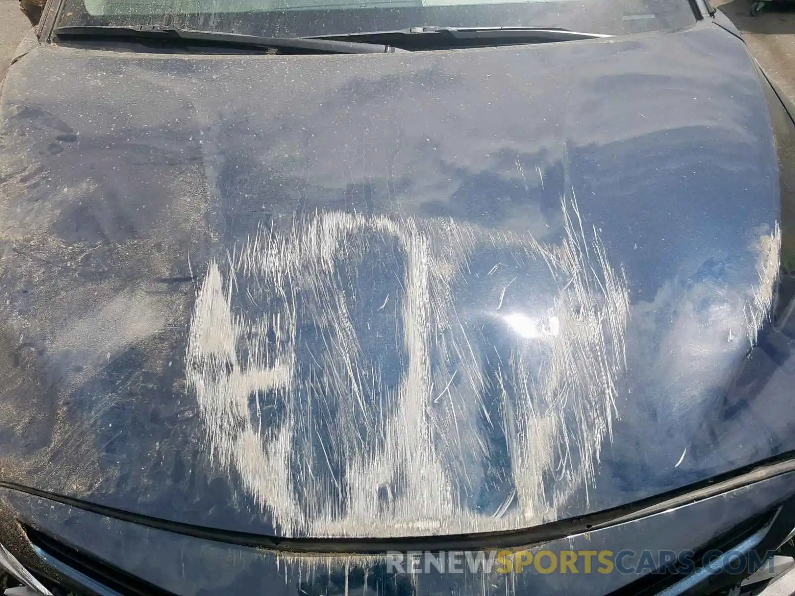 7 Photograph of a damaged car 4T1B11HK6KU709797 TOYOTA CAMRY 2019