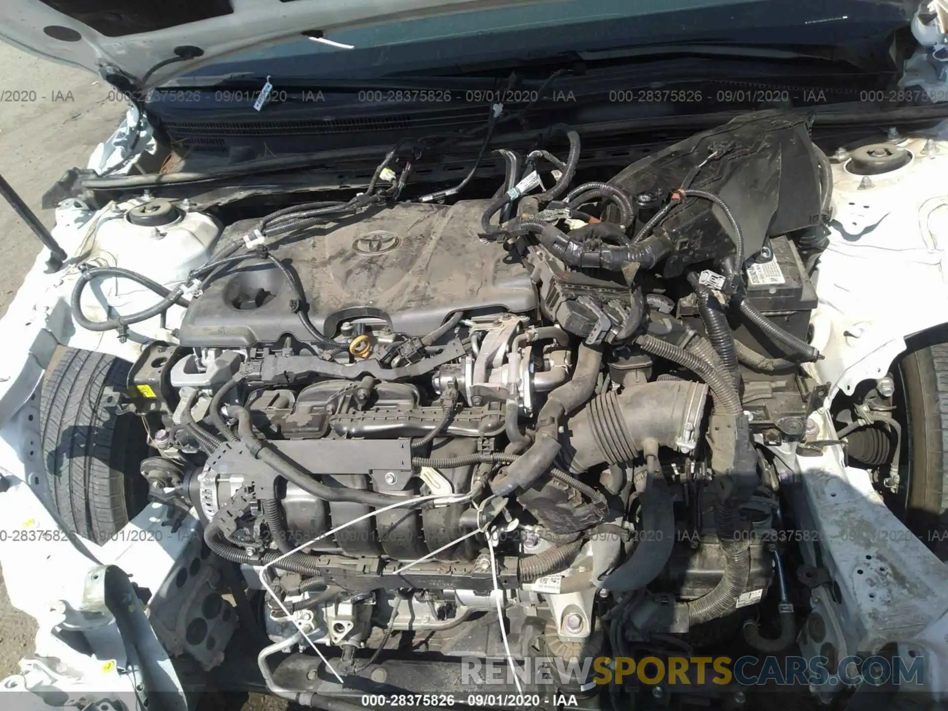 10 Photograph of a damaged car 4T1B11HK6KU714918 TOYOTA CAMRY 2019