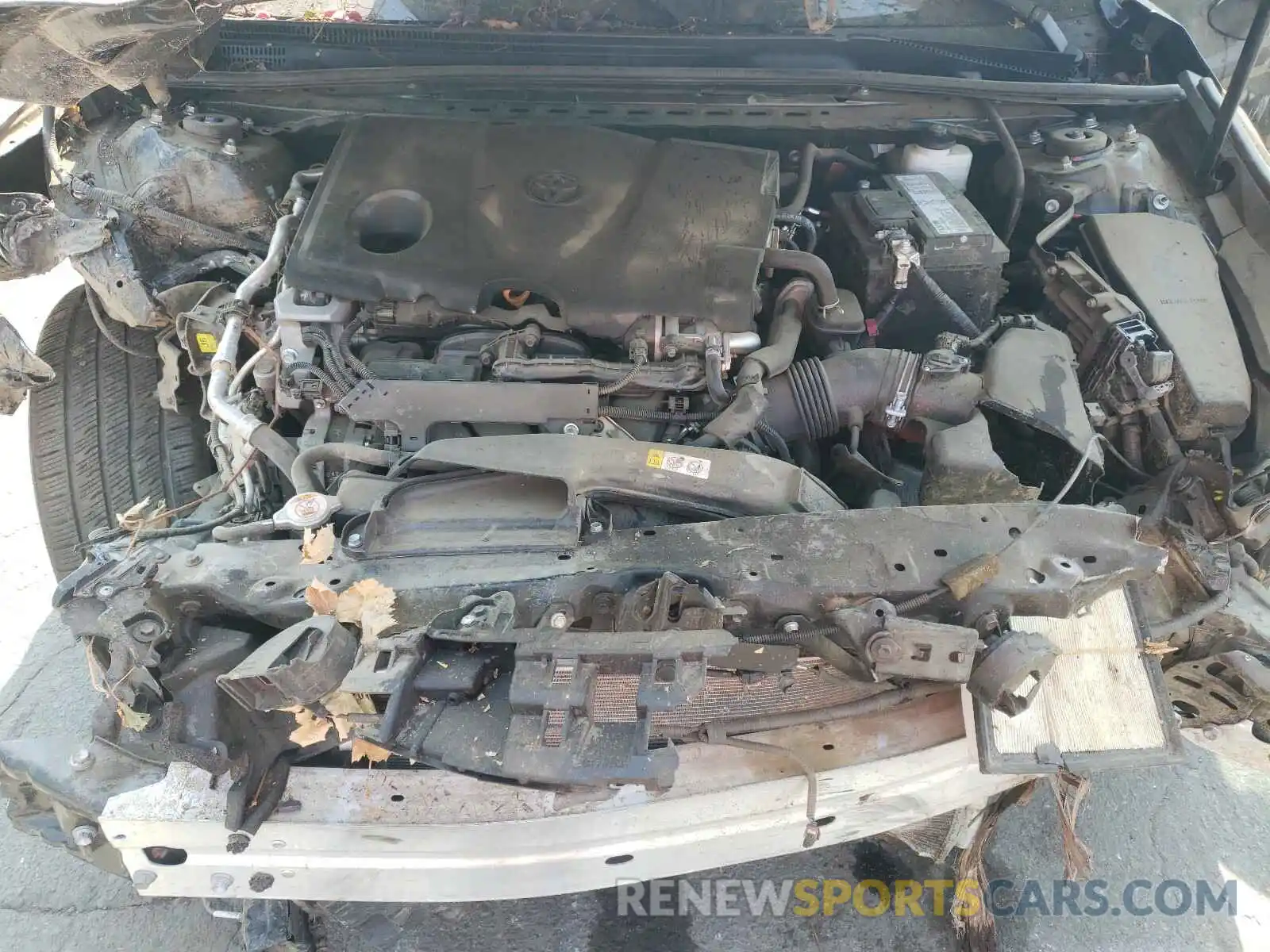 7 Photograph of a damaged car 4T1B11HK6KU725546 TOYOTA CAMRY 2019