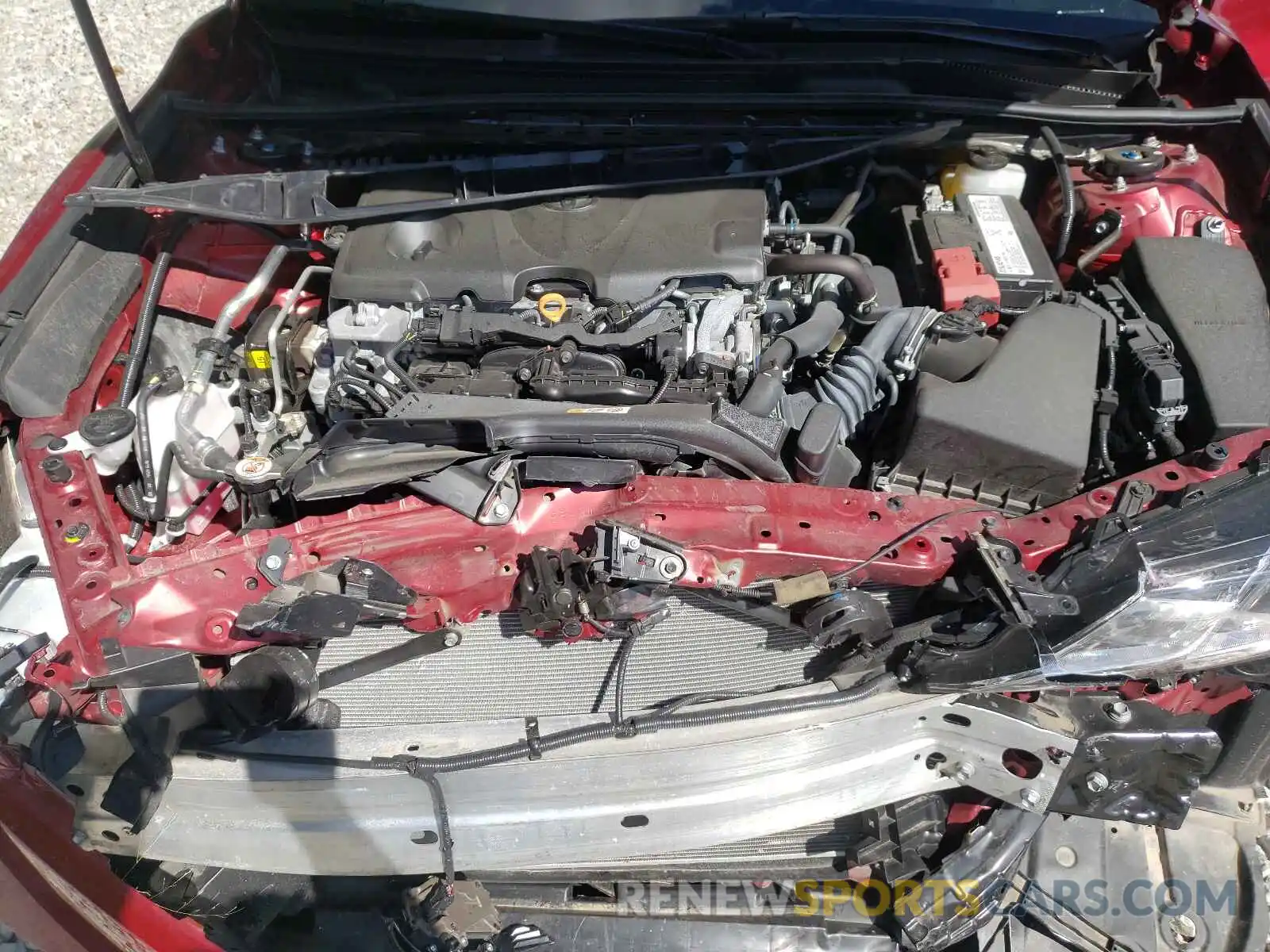 7 Photograph of a damaged car 4T1B11HK6KU745554 TOYOTA CAMRY 2019