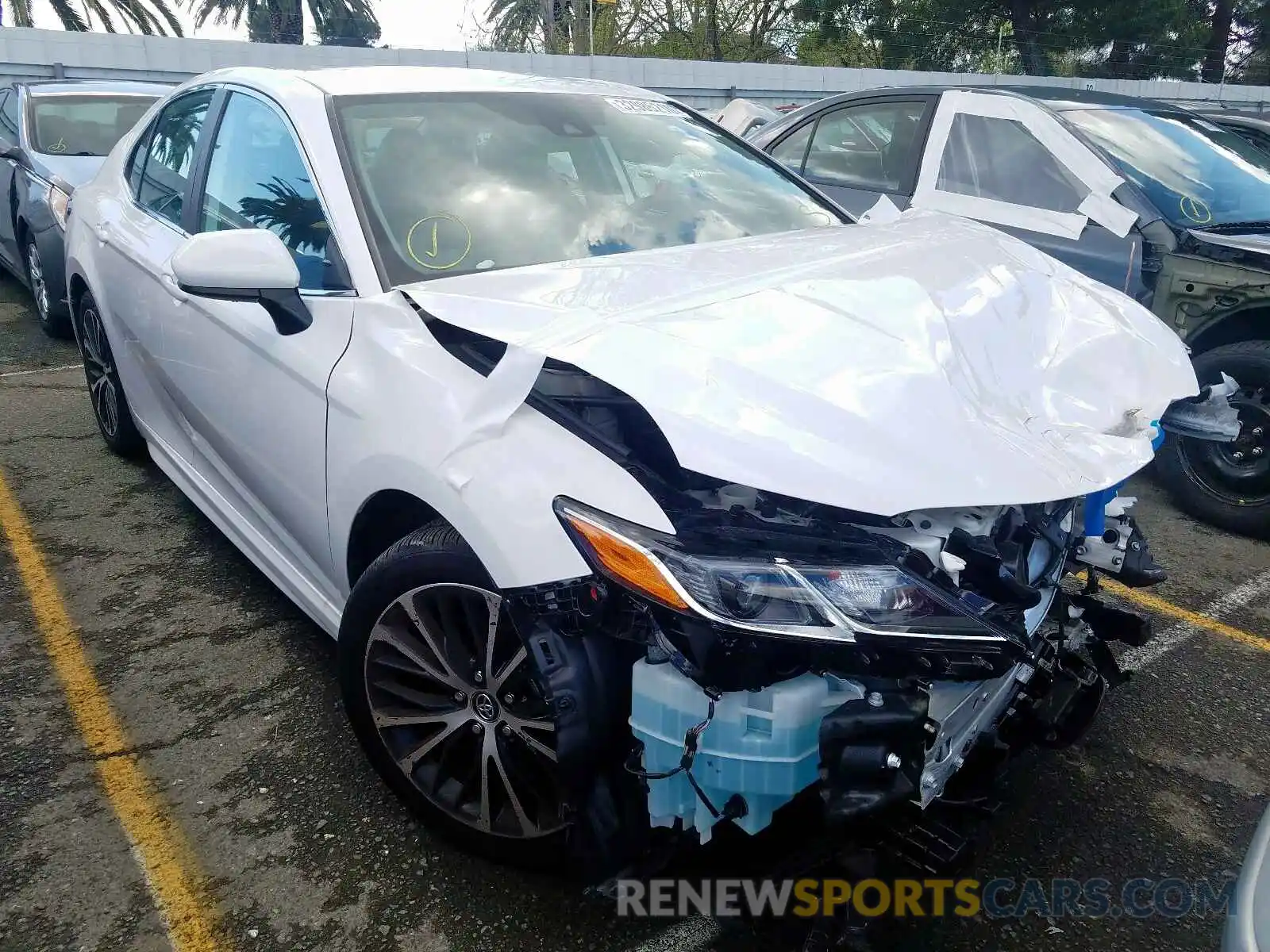 1 Photograph of a damaged car 4T1B11HK6KU754304 TOYOTA CAMRY 2019