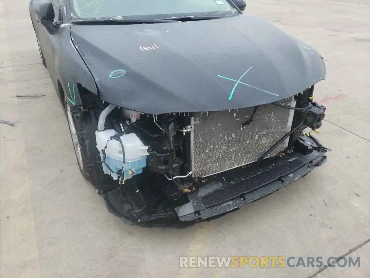 9 Photograph of a damaged car 4T1B11HK6KU755288 TOYOTA CAMRY 2019