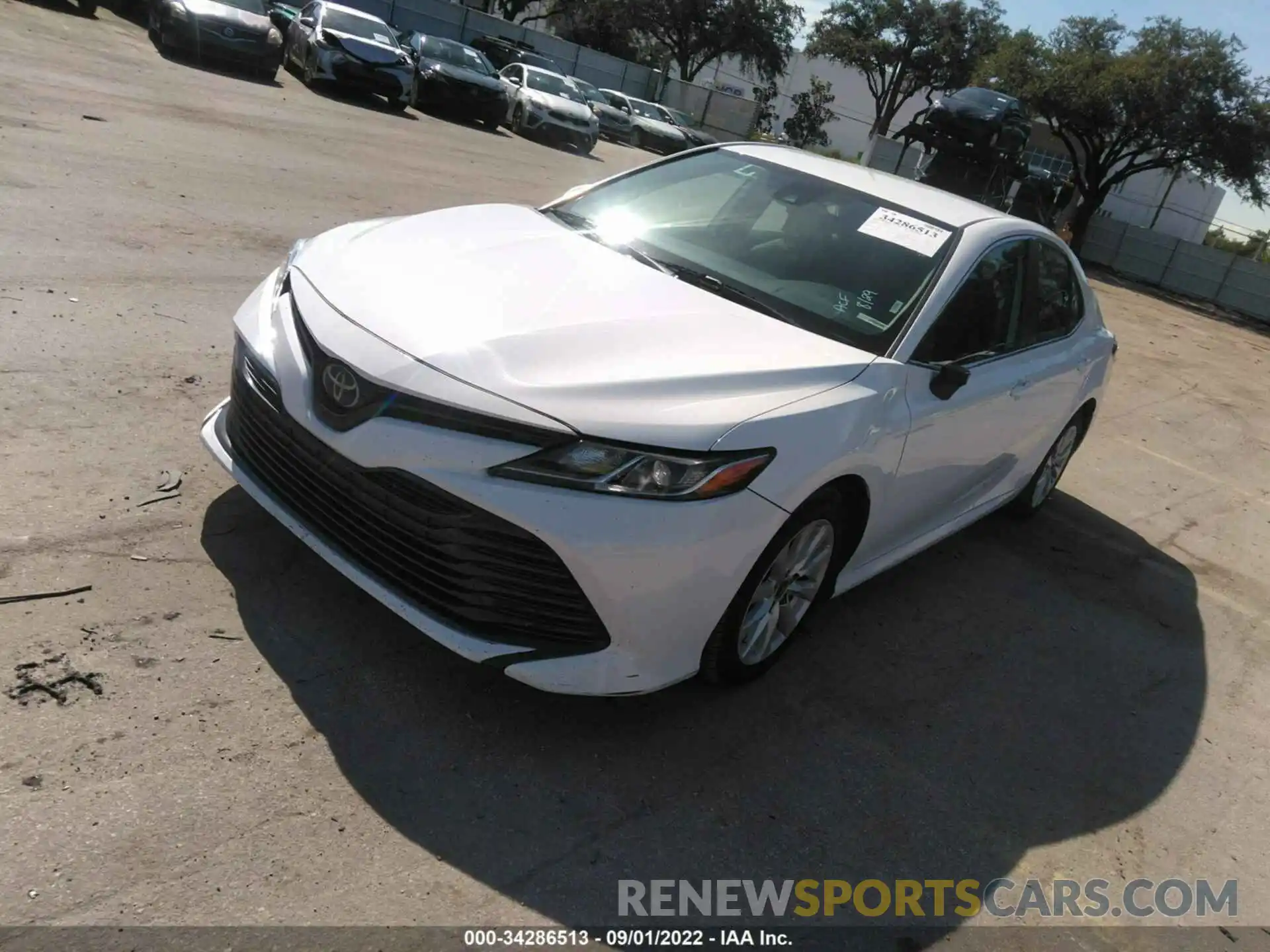 2 Photograph of a damaged car 4T1B11HK6KU756747 TOYOTA CAMRY 2019