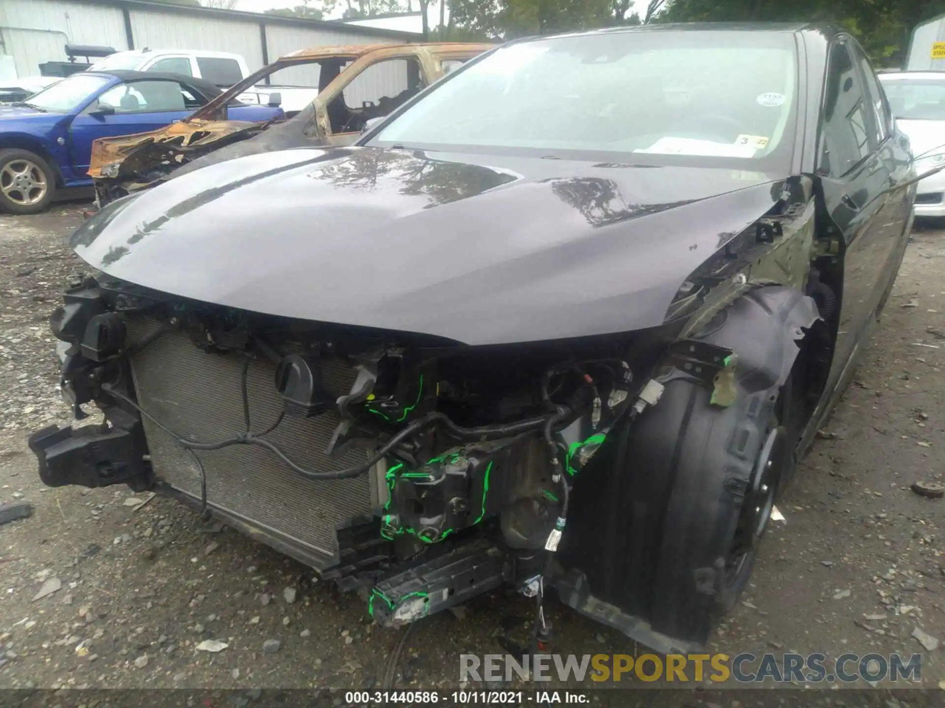 6 Photograph of a damaged car 4T1B11HK6KU770020 TOYOTA CAMRY 2019