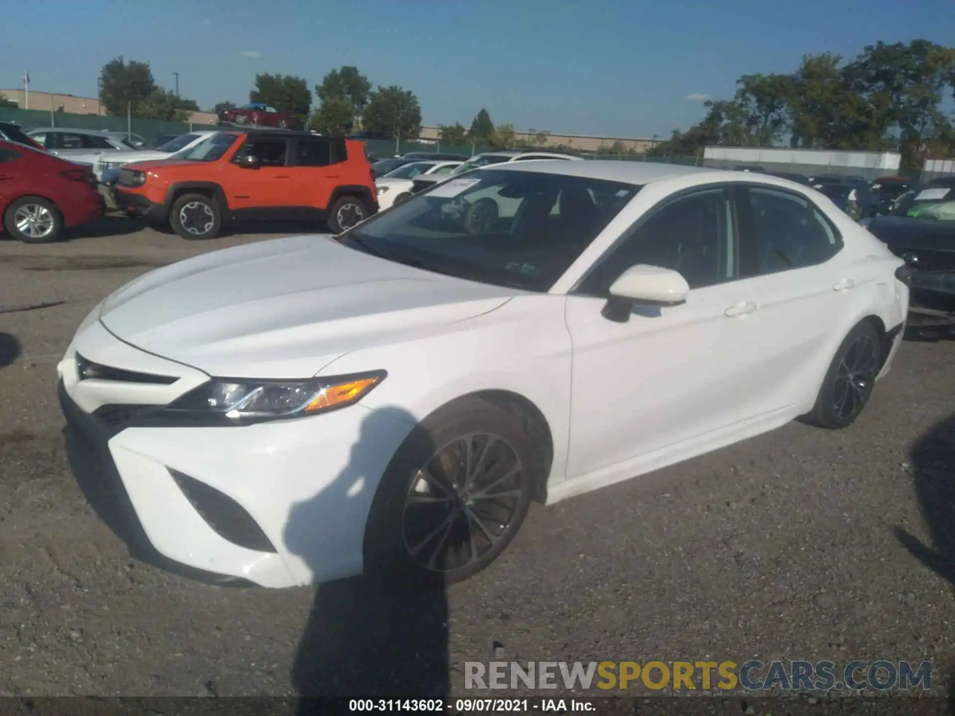 2 Photograph of a damaged car 4T1B11HK6KU771006 TOYOTA CAMRY 2019