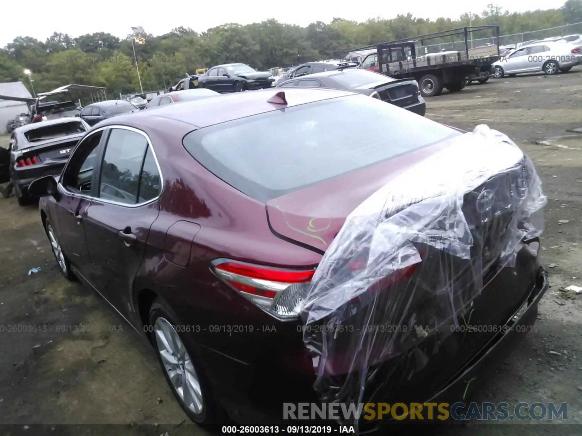 3 Photograph of a damaged car 4T1B11HK6KU788470 TOYOTA CAMRY 2019